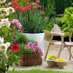 Garden Ideas Accessories