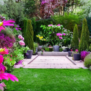 Garden Ideas Exclusive