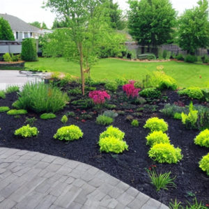 Garden Ideas General