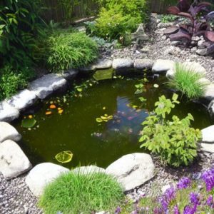 Garden Ideas Ponds